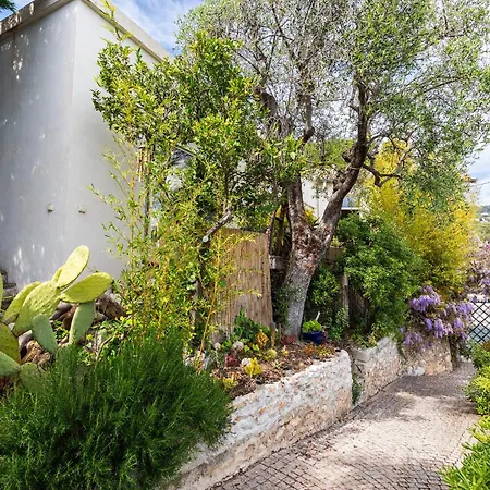Marguerite Vi4406 By Riviera Homes * Villefranche-sur-Mer